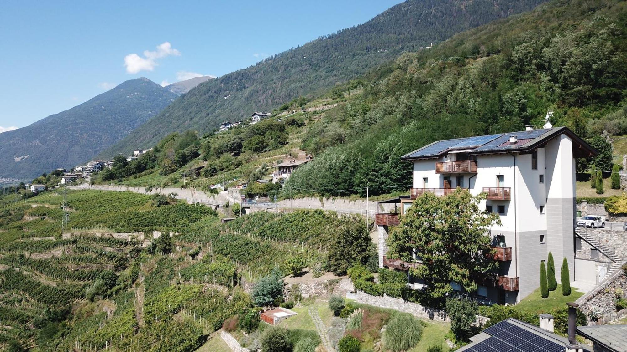 Wine Retici Balzi 4* Poggiridenti