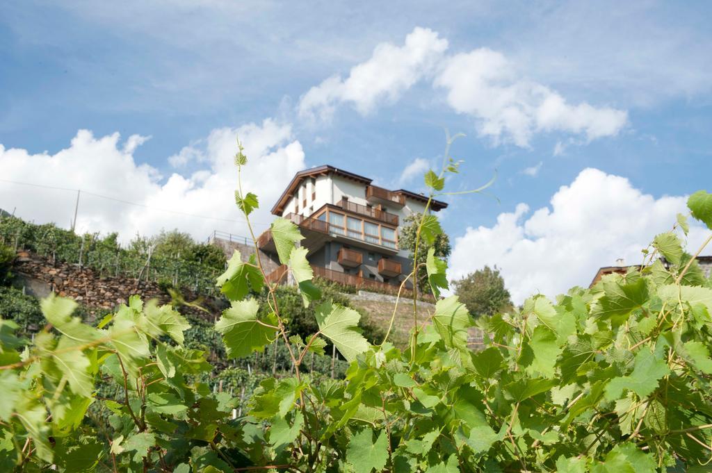 Wine Retici Balzi Poggiridenti